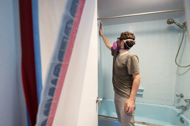 Mold Odor Removal Services in Winthrop, MN